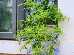 -南开大学(八里台校区)