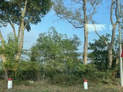 -东兴口岸-中越友谊大桥