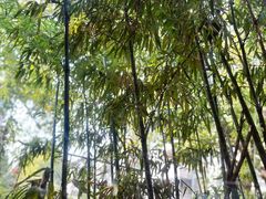 -一叶觅山(半边街店)