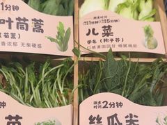 -蒙都43°9羊火锅(平庄店)