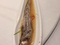 -苏帮袁Sue Cuisine(将台店)