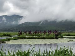 -腾冲北海湿地