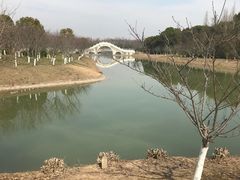 -上海海湾国家森林公园