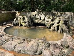 -海南热带野生动植物园