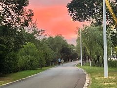-艾溪湖湿地公园