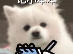 -德顺斋爆肚涮肉馆·烧烤·羊蝎子·清真炒菜(马驹桥店)