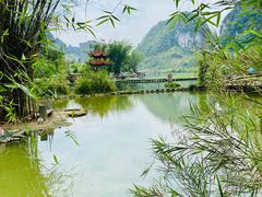 -靖西鹅泉风景区