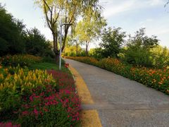 -长春公园(普阳街道)