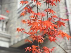 -颐和路民国时期公馆-风貌区