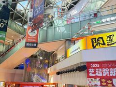 -鹏欣水游城