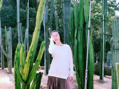 -深圳仙湖植物园-停车场