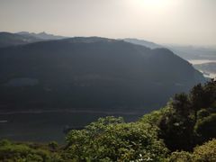 -铁山坪森林公园