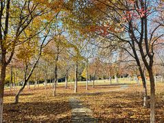 -长春世界雕塑园冰雪艺术天地