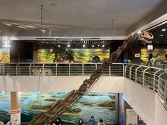 -国家自然博物馆