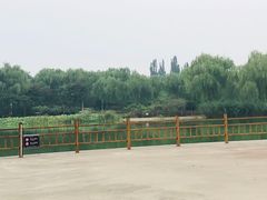 -燕郊植物园