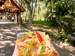 -西双版纳傣族园