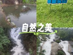 -象头山国家级自然保护区