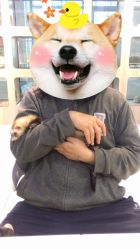 -Moni星球萌宠·小马宝莉·灵蛇·高端高阶全萌宠互动体验俱乐部(红豆国际广场店)