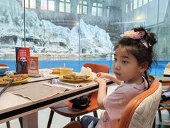 -帝企鹅自助餐厅•儿童岛•真企鹅(长隆企鹅酒店)