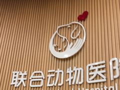 -联合动物医院(光谷诊疗中心)