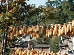 -篁岭景区