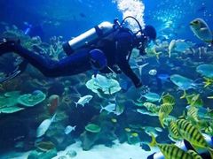 -成都浩海立方海洋公园