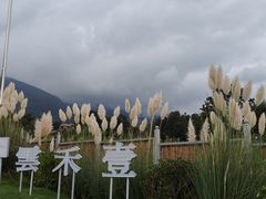-云禾壹海景庄园餐厅