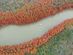 -上海海湾国家森林公园