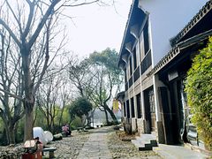 -西溪国家湿地公园