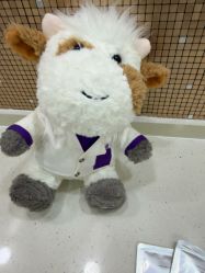 -上海首尔丽格医疗美容医院