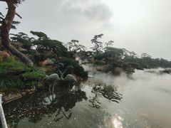 -罗红摄影艺术馆