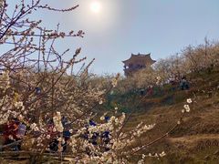 -广州市流溪河国家森林公园