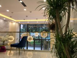 -3AM HAIR SALON染发接发