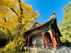 -香山公园