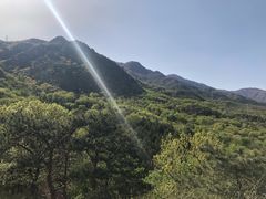 -北京鹫峰国家森林公园