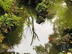 -郫都区农科村景区