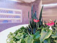 景观位-奈雪的茶(观前街店)