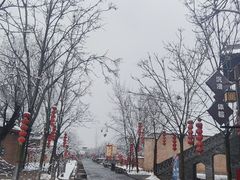 -大槐树寻根祭祖园