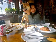 -百好乐宠物友好餐厅(朝外大街店)