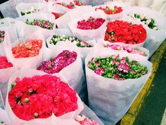 -溪岸路花鸟市场