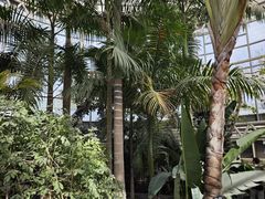 -石家庄市植物园
