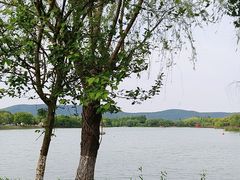 -尚湖风景区