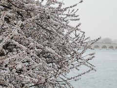 -颐和园
