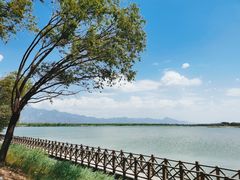 -野鸭湖国家湿地公园