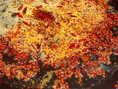 -朱氏胖子烂火锅(洪崖洞店)