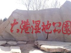 -大港湿地公园