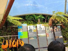 -怀托摩萤火虫洞