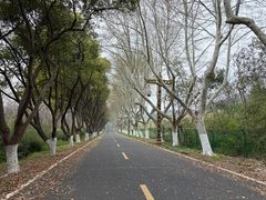 -宜兴龙背山森林公园