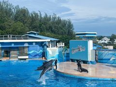 -香港海洋公园