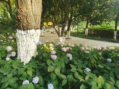 -常州古运河南大街文化旅游区-人民公园